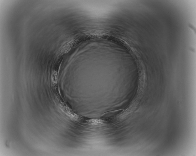 X0000100370528200806201630