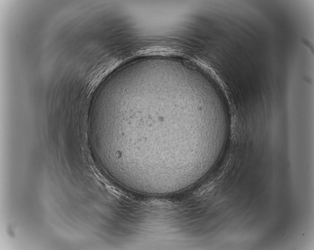 X0000100370529200806201630