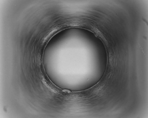 X0000100370530200806201630