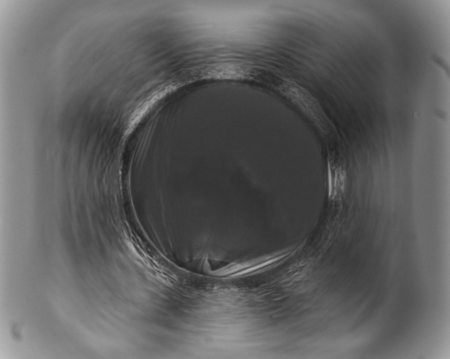 X0000100370531200806201630