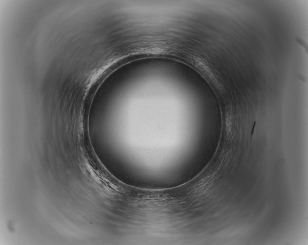 X0000100370532200806201630