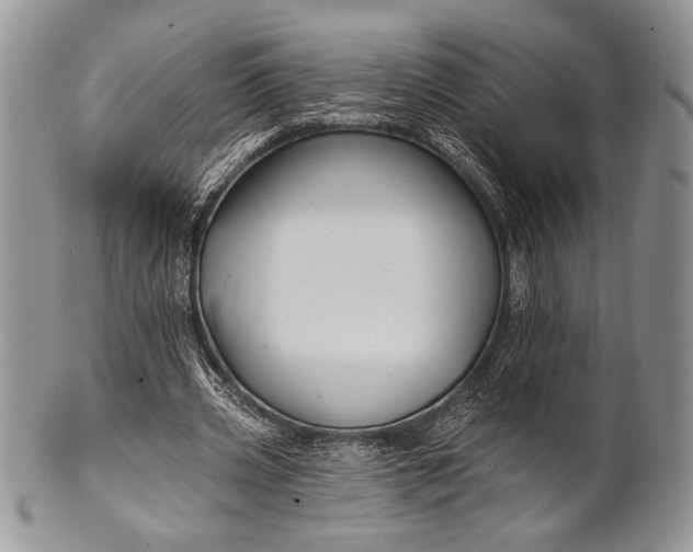 X0000100370533200806201630