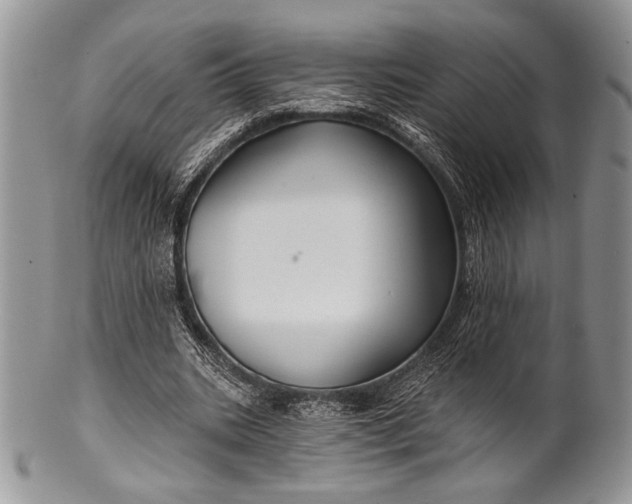 X0000100370535200806201630