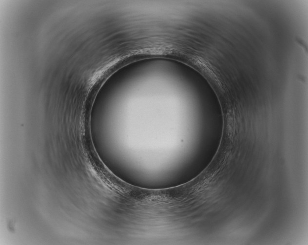 X0000100370536200806201630