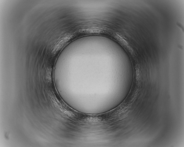 X0000100370537200806201630