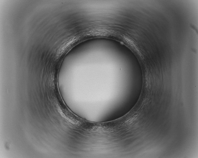 X0000100370538200806201630