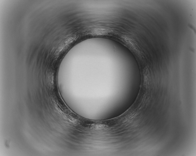 X0000100370539200806201630