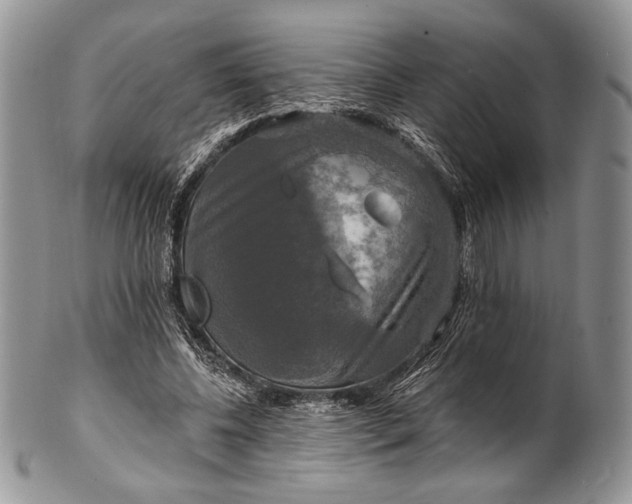 X0000100370540200806201630