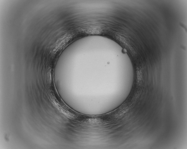 X0000100370541200806201630