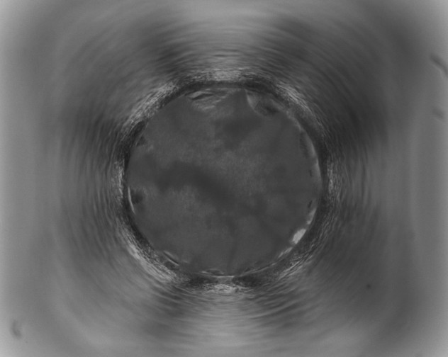 X0000100370542200806201630