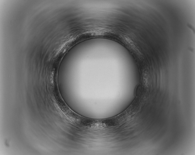 X0000100370543200806201630