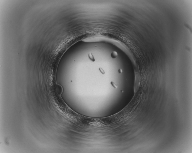 X0000100370544200806201630