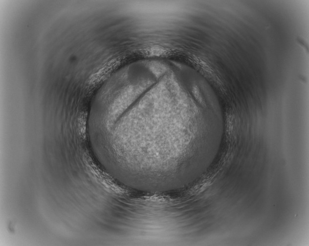 X0000100370545200806201630