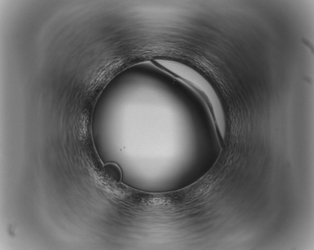 X0000100370546200806201630