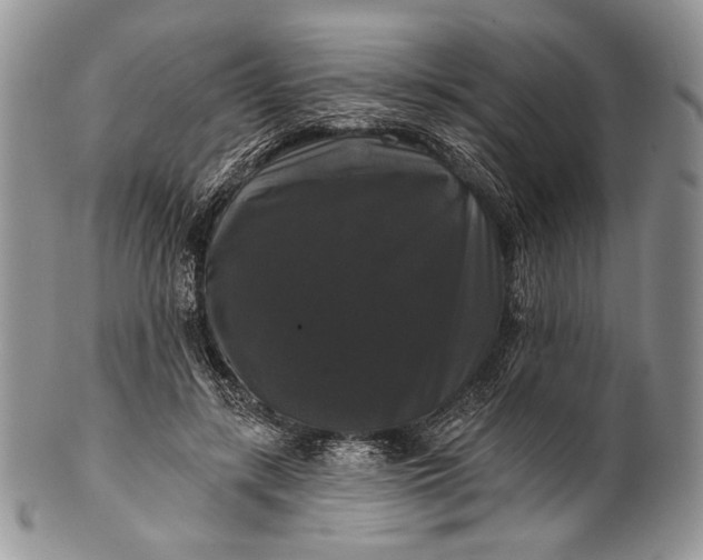 X0000100370547200806201630