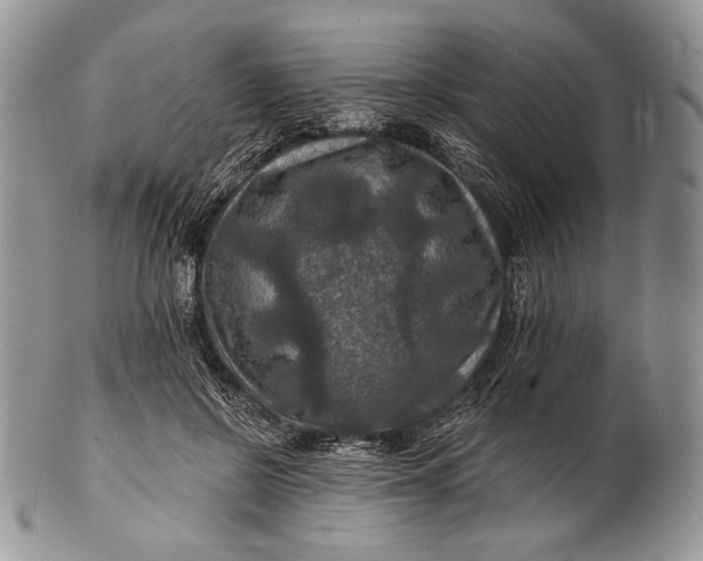 X0000100370550200806201630