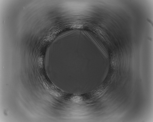 X0000100370551200806201630