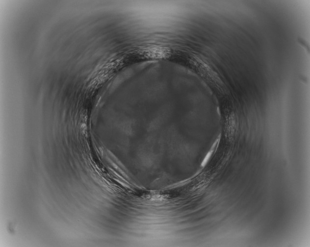 X0000100370553200806201630