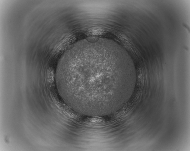 X0000100370555200806201630