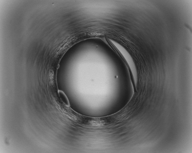 X0000100370556200806201630