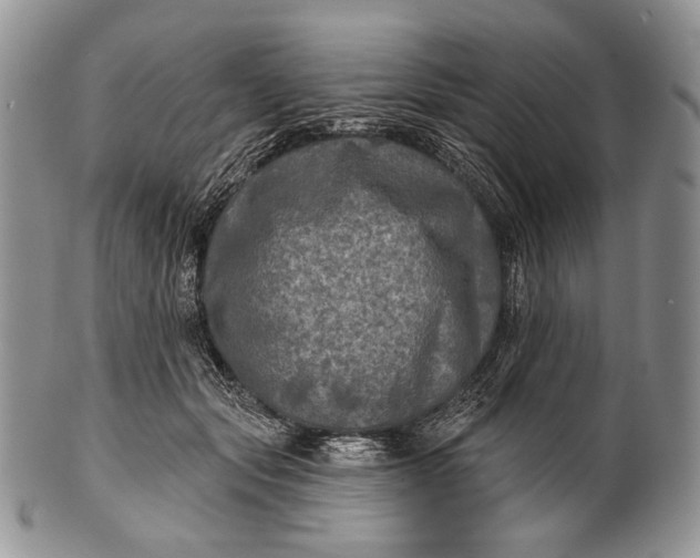 X0000100370557200806201630