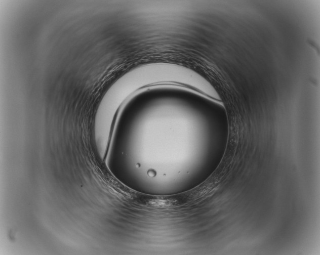 X0000100370558200806201630