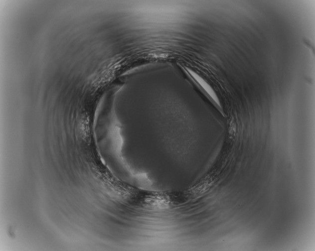 X0000100370559200806201630