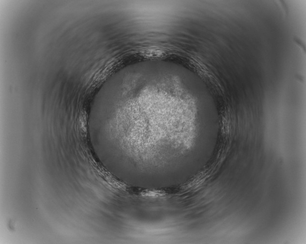 X0000100370561200806201630