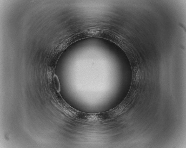 X0000100370562200806201630