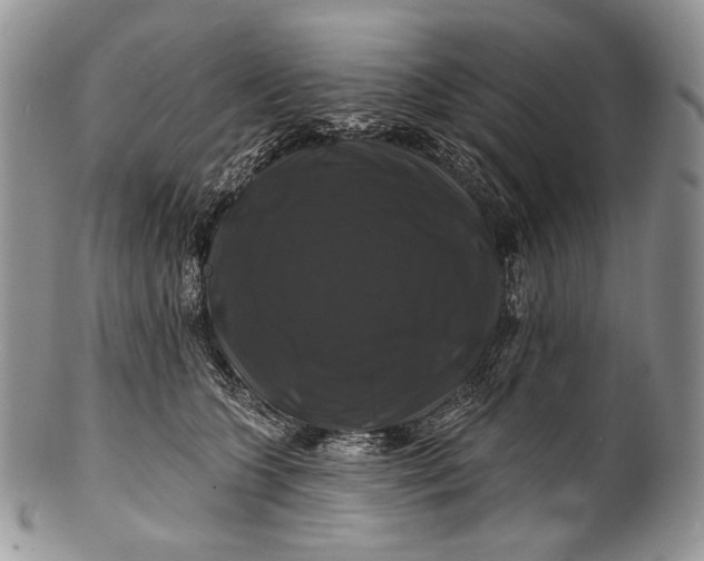 X0000100370563200806201630