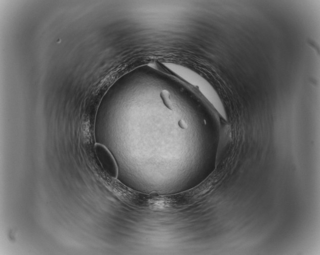 X0000100370564200806201630