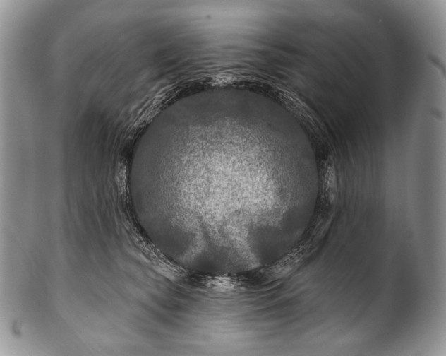 X0000100370565200806201630