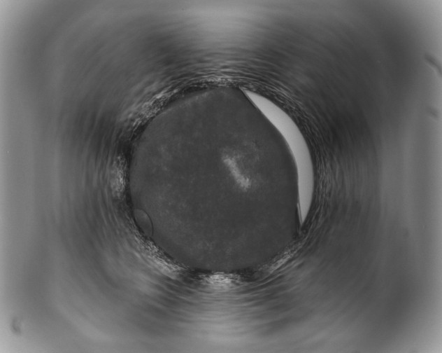 X0000100370566200806201630