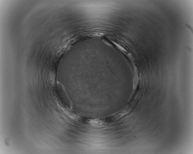 X0000100370568200806201630