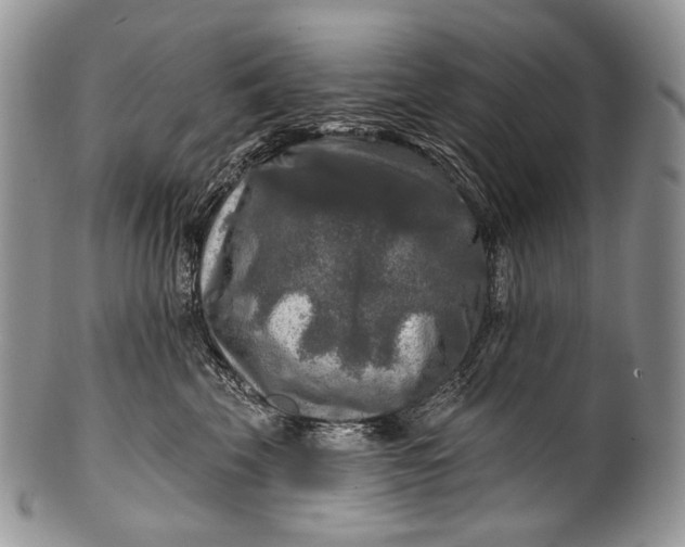 X0000100370569200806201630