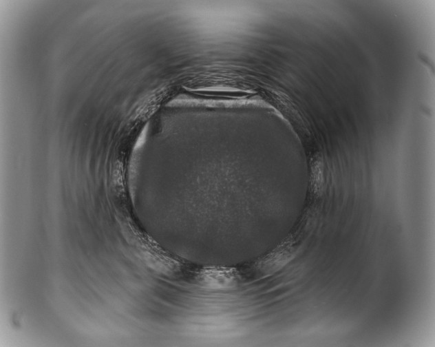 X0000100370571200806201630