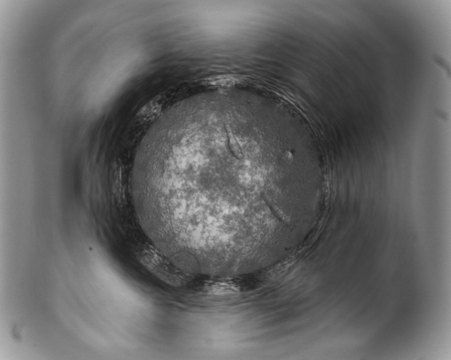 X0000100370572200806201630