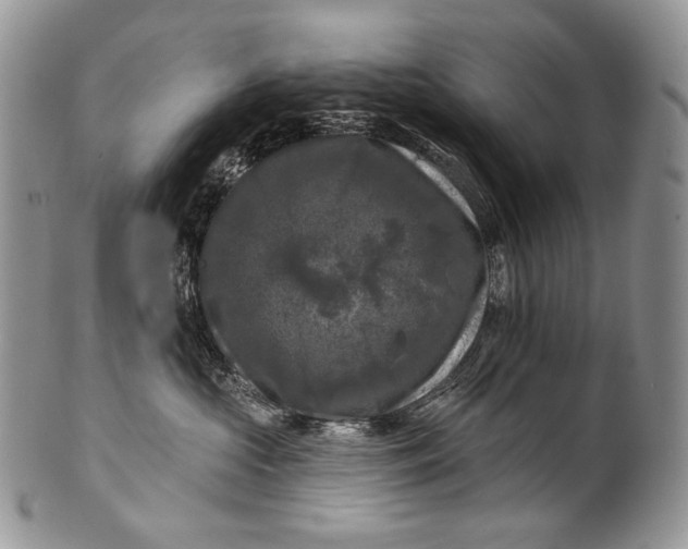 X0000100370573200806201630