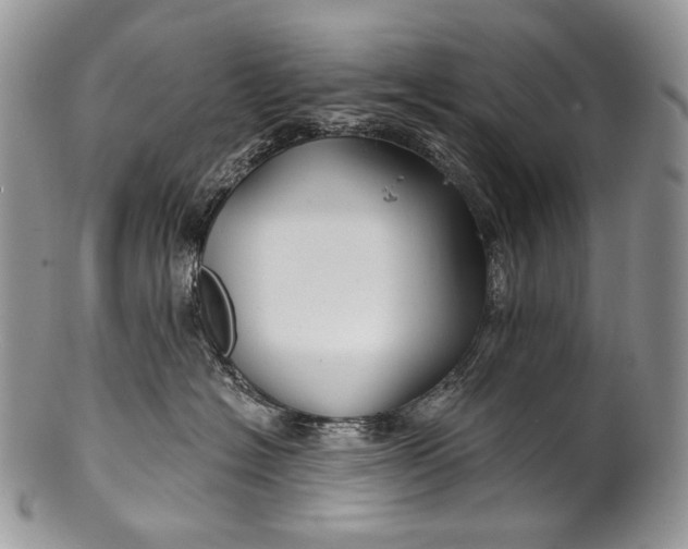 X0000100370574200806201630