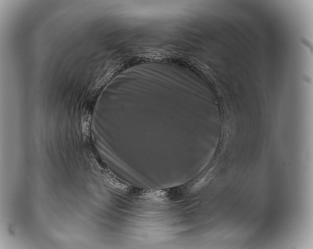 X0000100370576200806201630