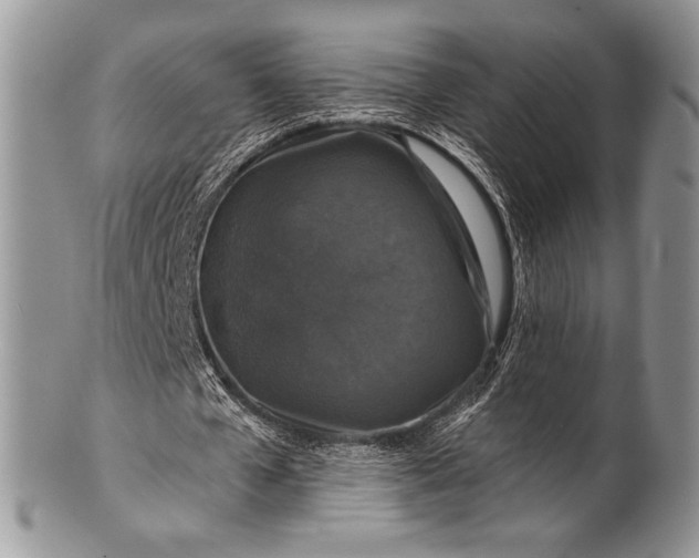 X0000100370577200806201630