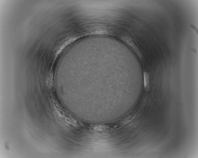 X0000100370579200806201630