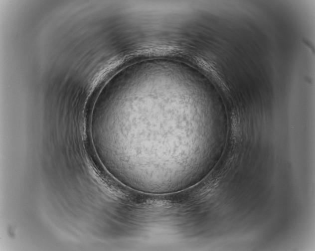 X0000100370582200806201630