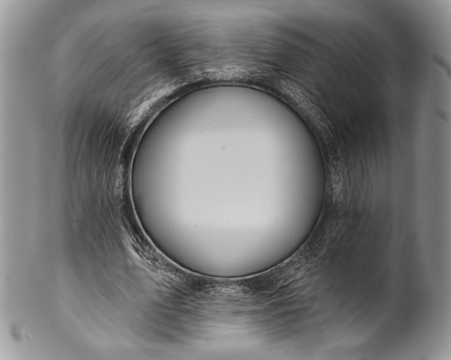 X0000100370583200806201630