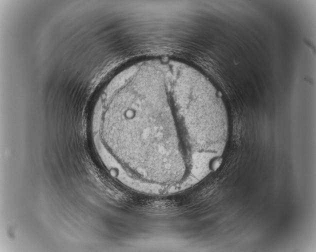 X0000100370584200806201630