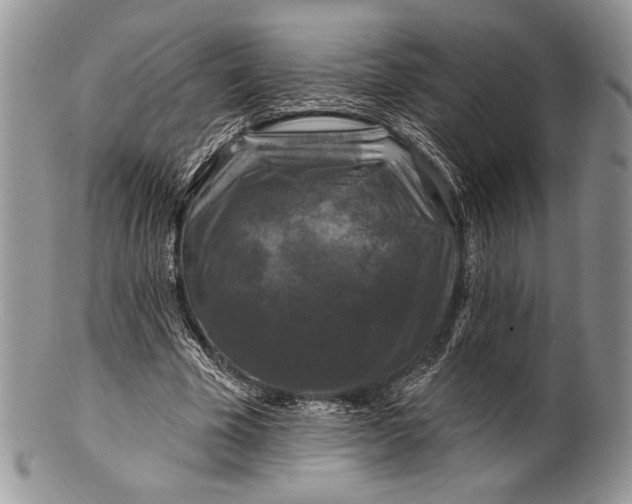 X0000100370585200806201630