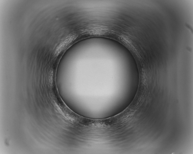 X0000100370586200806201630