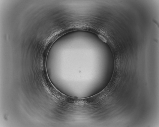 X0000100370587200806201630