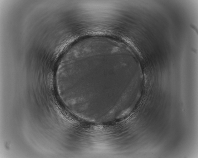 X0000100370588200806201630