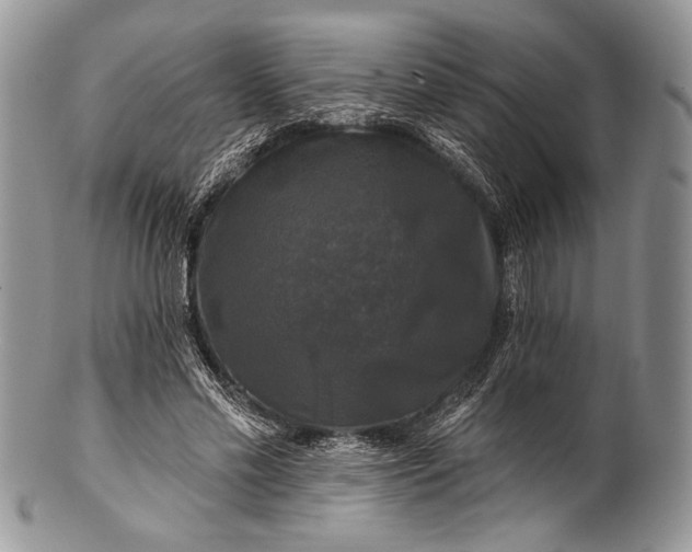 X0000100370589200806201630